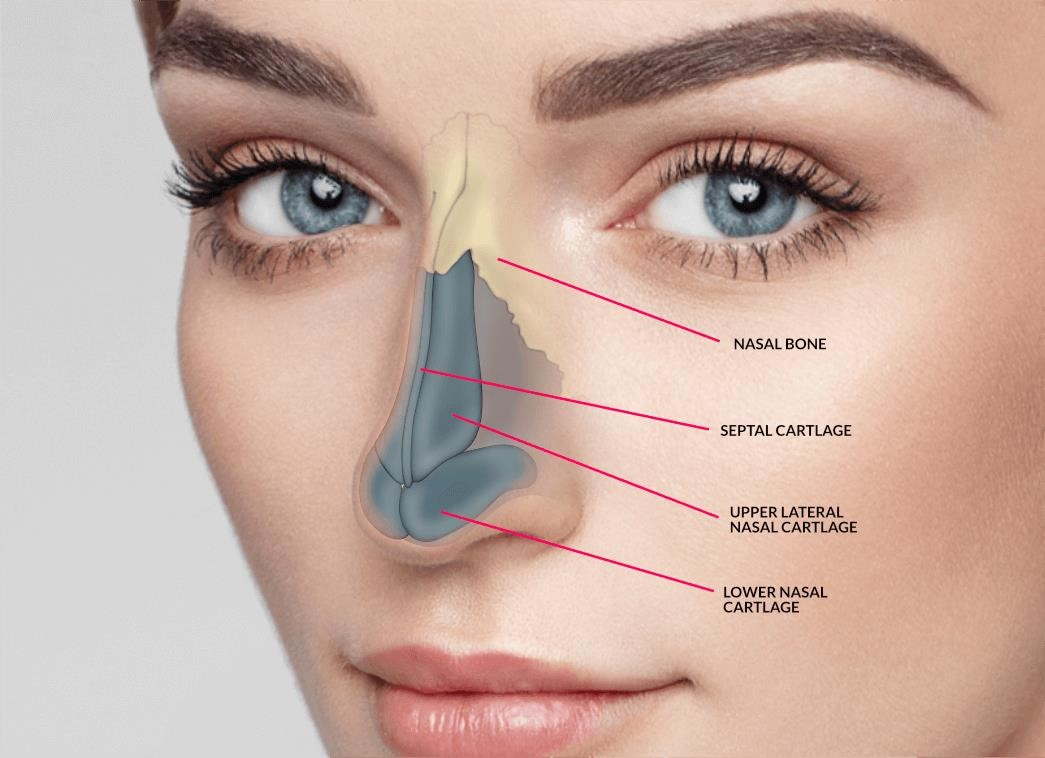 revision rhinoplasty expert los angeles